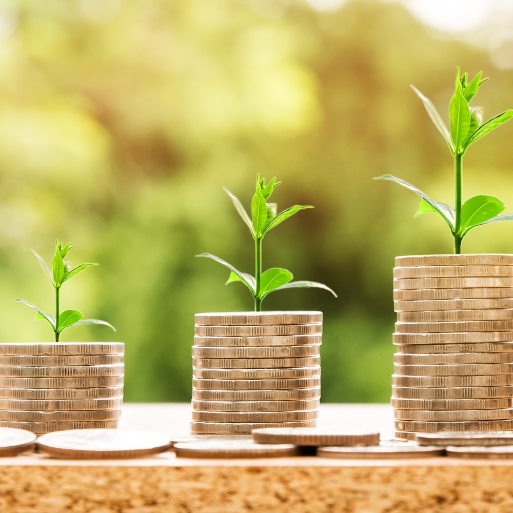 altersvorsorge rente rentenvorsorge altersvorsorge geld rente